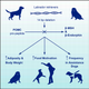 Image: E. Raffan et al., 2016/Cell Metabolism